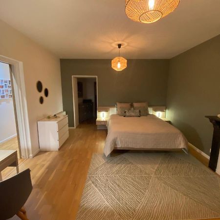 Le Gonzague, Appartement Hyper-Centre Tout Confort. Charleville-Mézières Eksteriør bilde